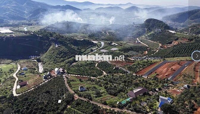 bán đất biệt lập xây biệt thự cách chợ đêm ĐL chỉ 20km giá chỉ 1tyxxx