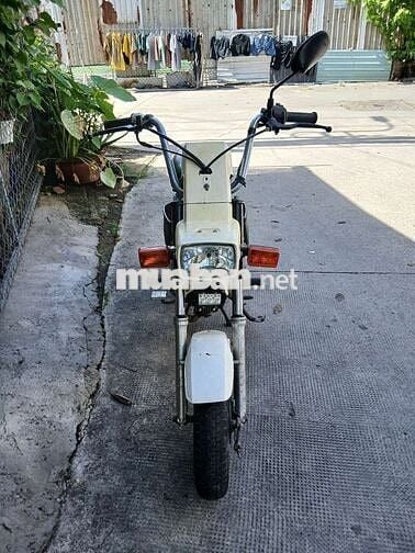 Honda Chaly 1984 Trắng
