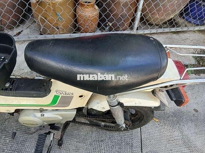 Honda Chaly 1984 Trắng