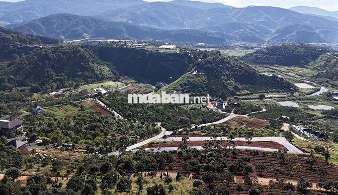 bán đất biệt lập xây biệt thự cách chợ đêm ĐL chỉ 20km giá chỉ 1tyxxx