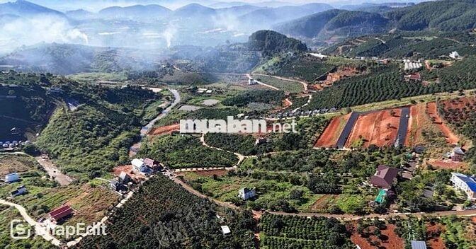 bán đất biệt lập xây biệt thự cách chợ đêm ĐL chỉ 20km giá chỉ 1tyxxx