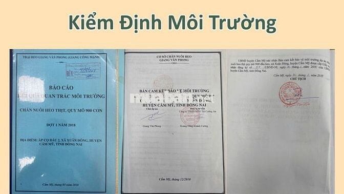 Chuyển Nhượng Trang Trại Heo Quy Mô Lớn (Có Thương Lượng)
