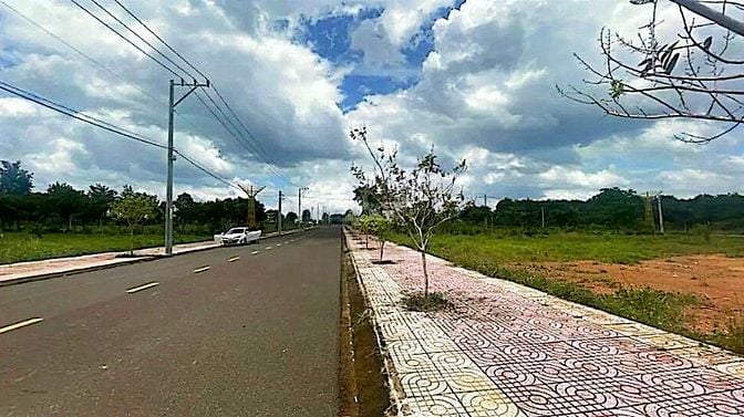 Công ty Đấu giá hợp danh Lam Sơn Sài Gòn thông báo đấu giá tài sản