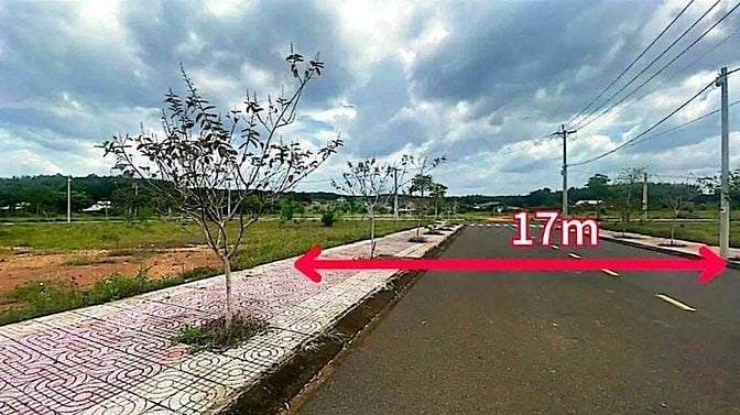 Công ty Đấu giá hợp danh Lam Sơn Sài Gòn thông báo đấu giá tài sản