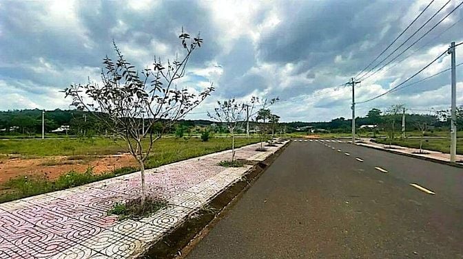 Công ty Đấu giá hợp danh Lam Sơn Sài Gòn thông báo đấu giá tài sản