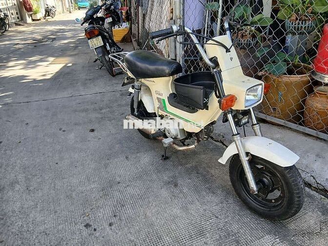 Honda Chaly 1984 Trắng