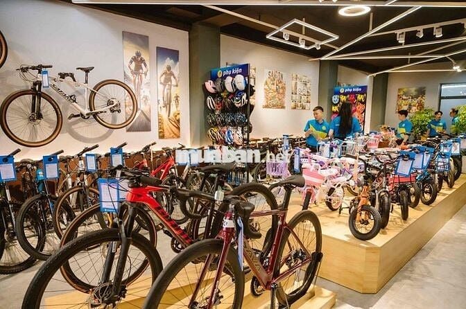 KẾ TOÁN Nội Bộ Nữ tại Gò Vấp