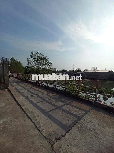 Nền đẹp có sẵn nhà mới xây nền cao gần Nam Long2 Central Lake