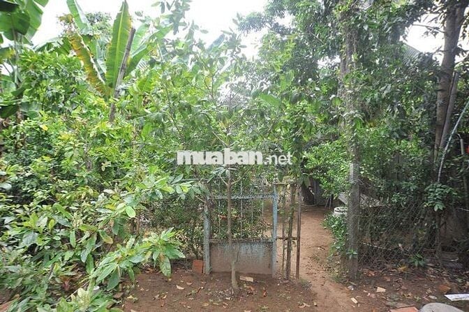 Bán đất tặng nhà mặt tiền, thuận ợi xây dựng nhà xưởng nhỏ và vừa .