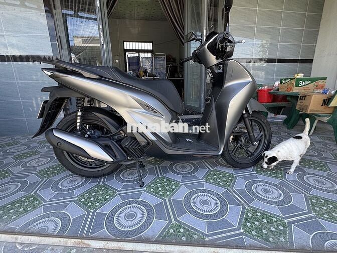 Honda SH160i 2026 Xám 343 km