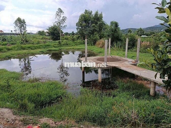 Đất đầu tư nghỉ dưỡng quá tuyệt
