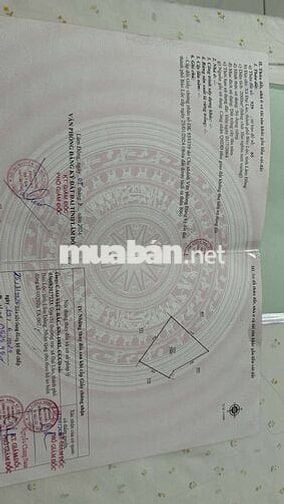 Đất đầu tư nghỉ dưỡng quá tuyệt