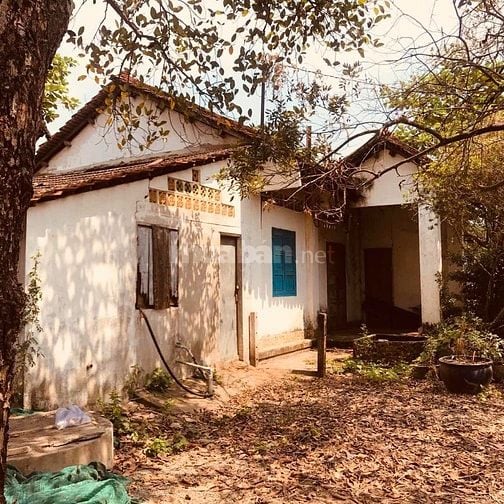 NHÀ SÂN VƯỜN CHO THUÊ - 500 M2