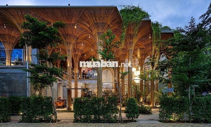 TUYỂN DỤNG BARISTA - PHỤC VỤ