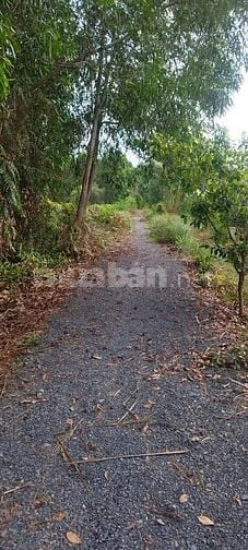 Chính chủ bán đất Bến Lức - Long An ( tây ninh) 1000m2 sổ đỏ giá 690tr