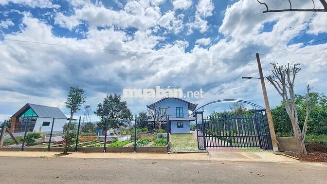 Chính chủ ngộp lãi ngân hàng bán gấp đất Hòa Ninh Lâm Đồng giá rẻ