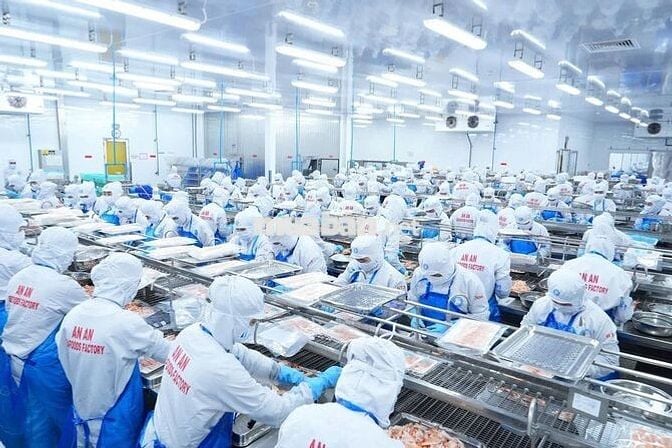 KHÔNG CẦN KINH NGHIỆM - TUYỂN LĐPT CHẾ BIẾN TÔM XK