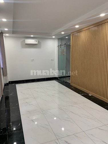 Cho thuê biệt thự Cityland P10 Gò Vấp. Diện tích 11x20 4 Tầng 8PN 8WC 