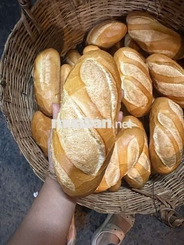 Tuyển 2 Nam Giao Bánh Mì
