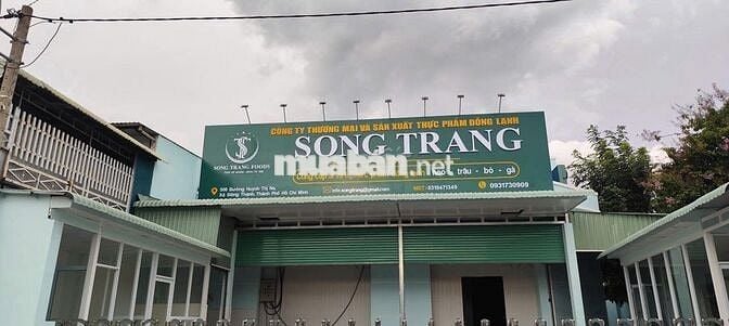 Cần 3 tài xế bằng B1 , C chở hàng đông lạnh 