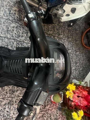 Yamaha Majesty 125cc 2005 Xanh đen