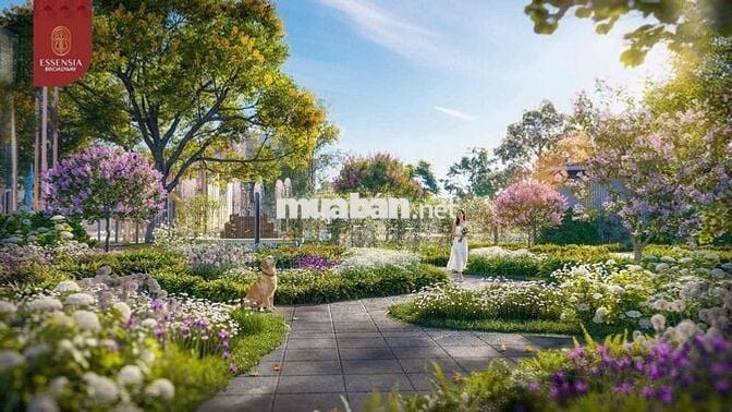 🔥 HOT DEAL TUẦN NÀY GỌI TÊN TH-36_ESSENSIA BROADWAY🔥 Nhà phố thấp tầng