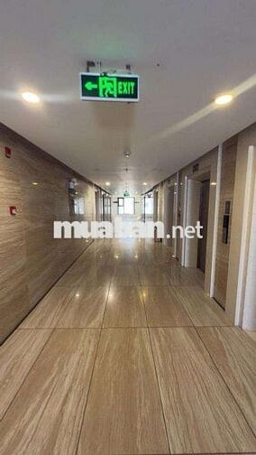 Hạng Thương Gia -  Chung cư IMPERIA GARDEN 203 Nguyễn Huy Tưởng .