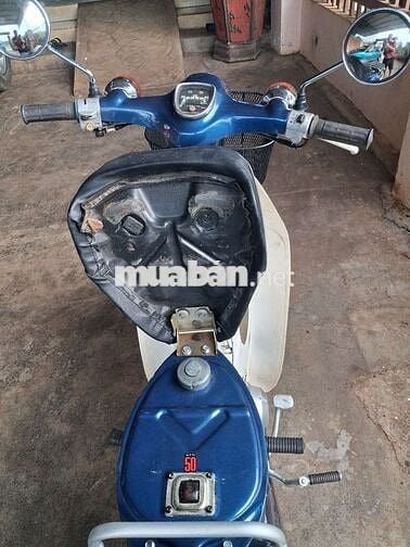 Honda Super Cub 86/50cc Xanh mực