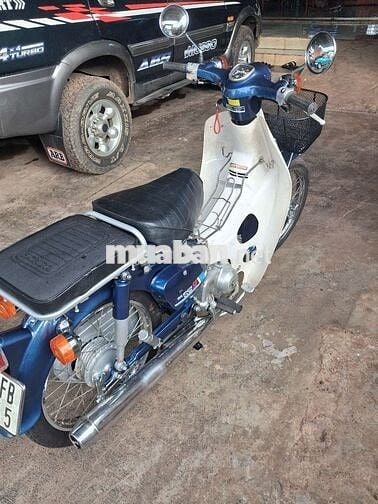 Honda Super Cub 86/50cc Xanh mực