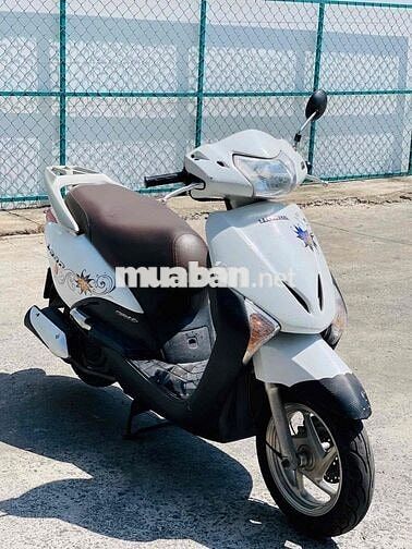 Honda Lead Fi Trắng biển to