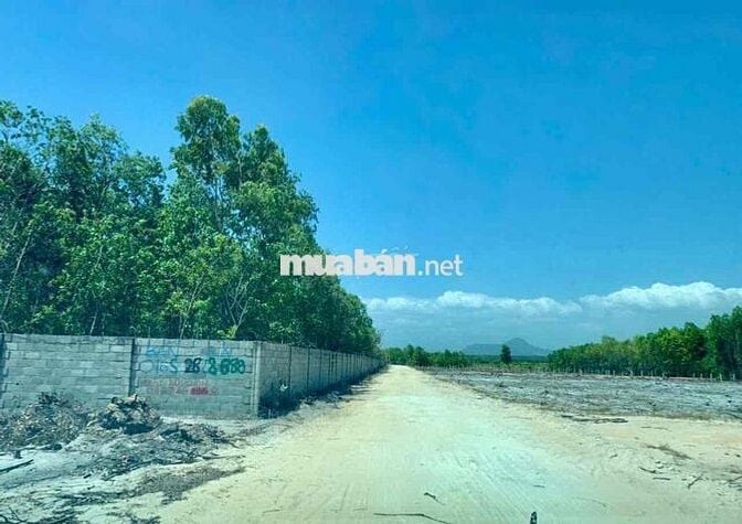 Đất 2MT trước sau1026m2, gần biển Phường lagi Bình Thuận (lâm đồng)