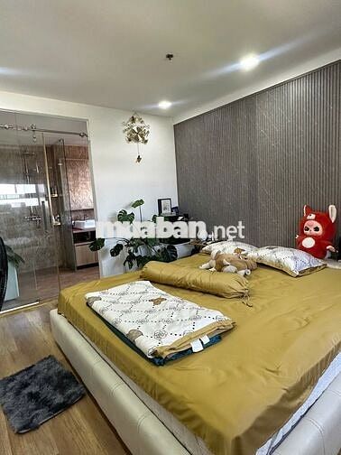 Cần cho thuê  căn hộ Duplex Vision 96 Trần Đại Nghĩa