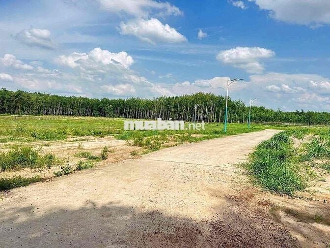 bán gấp lô Chơn Thành giá rẻ vị trí đẹp
