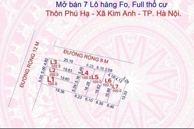 Bán đất nền tại Phú Hạ, Kim Anh, Hà Nội, 2,6 tỷ, 100m2