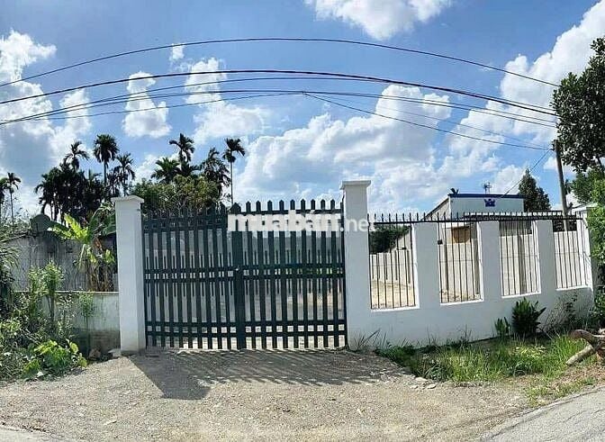 Cần vốn xoay xở bán gấp lô 300m2 sổ sẵn, xây xưởng/trọ cực đẹp.