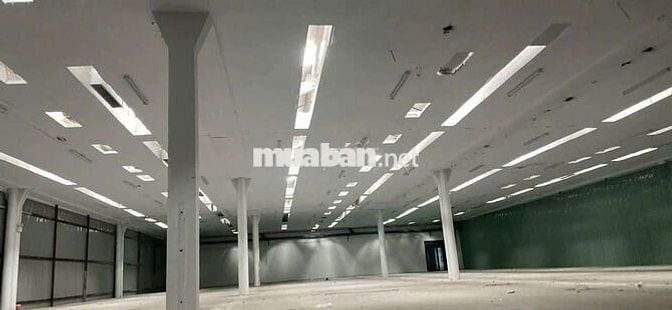 CHO THUÊ KHO 500-1000M2 TỚI 20.000M2 KCN TÂN BÌNH ĐƯỜNG CON40F