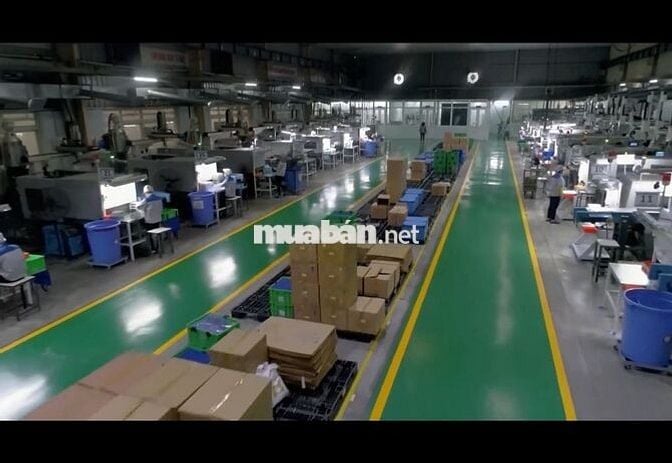 Tuyển dụng lao động phổ thông