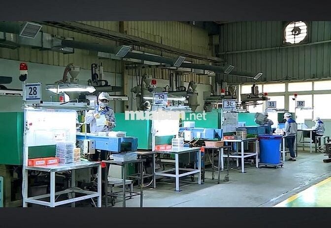 Tuyển dụng lao động phổ thông