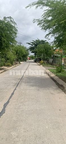 Bán gấp MT đường 5m Trần Văn Nghĩa, 300m2 full thổ cư, Giá : 2.5 tỷ tl