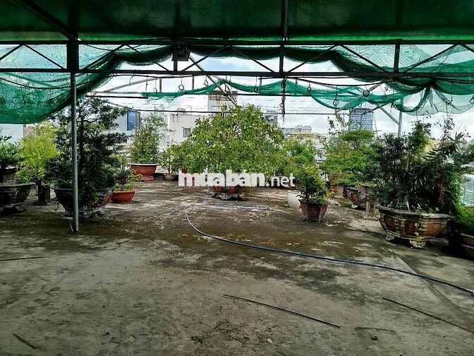 nguyên tòa chung tâm quận 1 cho thuê