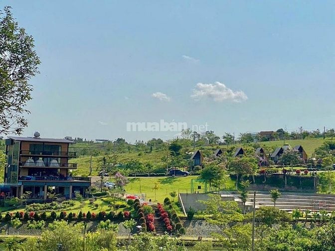 Bán đất tại Quốc Lộ 20, 900 triệu, 150m2, hàng hiếm tại Bảo Lộc, Lâm Đ