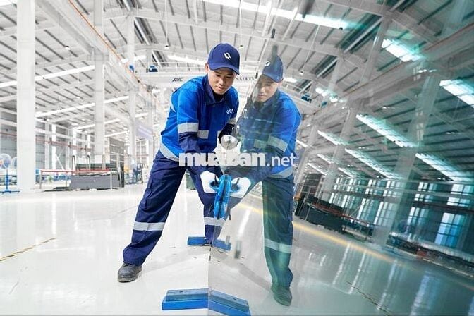 QC Executive - Nhân viên kiểm soát chất lượng
