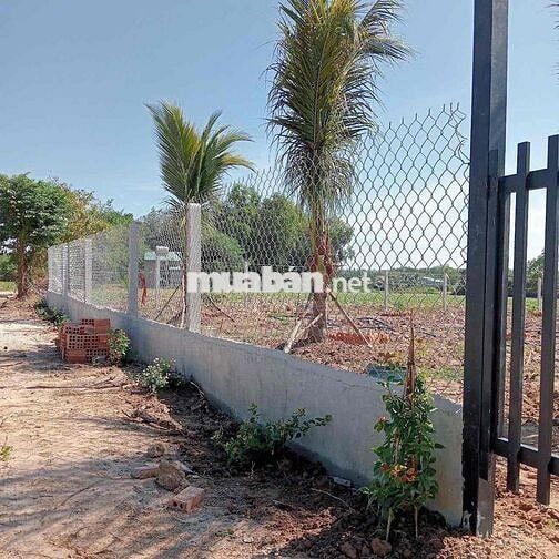 🔥🔥QUÁ ==> 399Tr🔥🔥  Có khu vườn 1000m2 vuông vức, tặng hàng rào, tặ