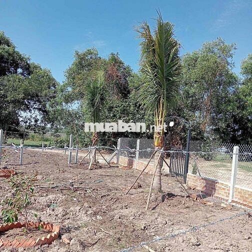 🔥🔥QUÁ ==> 399Tr🔥🔥  Có khu vườn 1000m2 vuông vức, tặng hàng rào, tặ