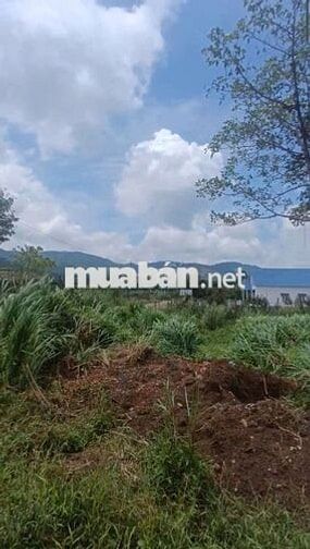 Đất đẹp, siêu rẻ, chỉ 1,7 tỷ bán 2000m², 100m² t.cư. Đất P.03 Bảo Lộc.