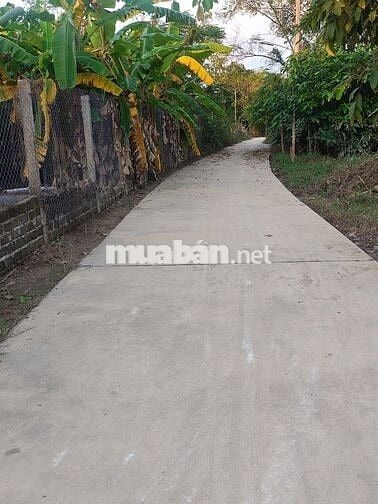Mình chính chủ cần bán đất tại thôn Kỳ Lam 2, xã Điện Bàn Tây, Đà Nẵng