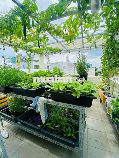 🎁Cho thuê nhà HXH 373/ Thống Nhất P11 Gò Vấp 4m❌10m 4pn 3wc