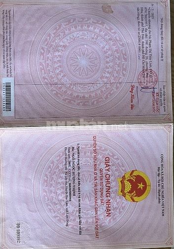 Cần bán 1000 m đất vườn trồng bơ và sầu riêng (gần khu dân cư)