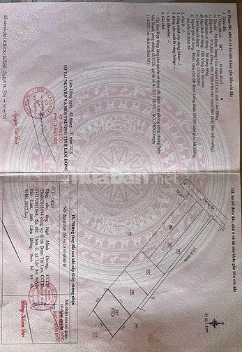Cần bán 1000 m đất vườn trồng bơ và sầu riêng (gần khu dân cư)