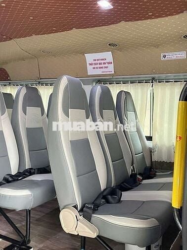 Ford Transit 16 chỗ